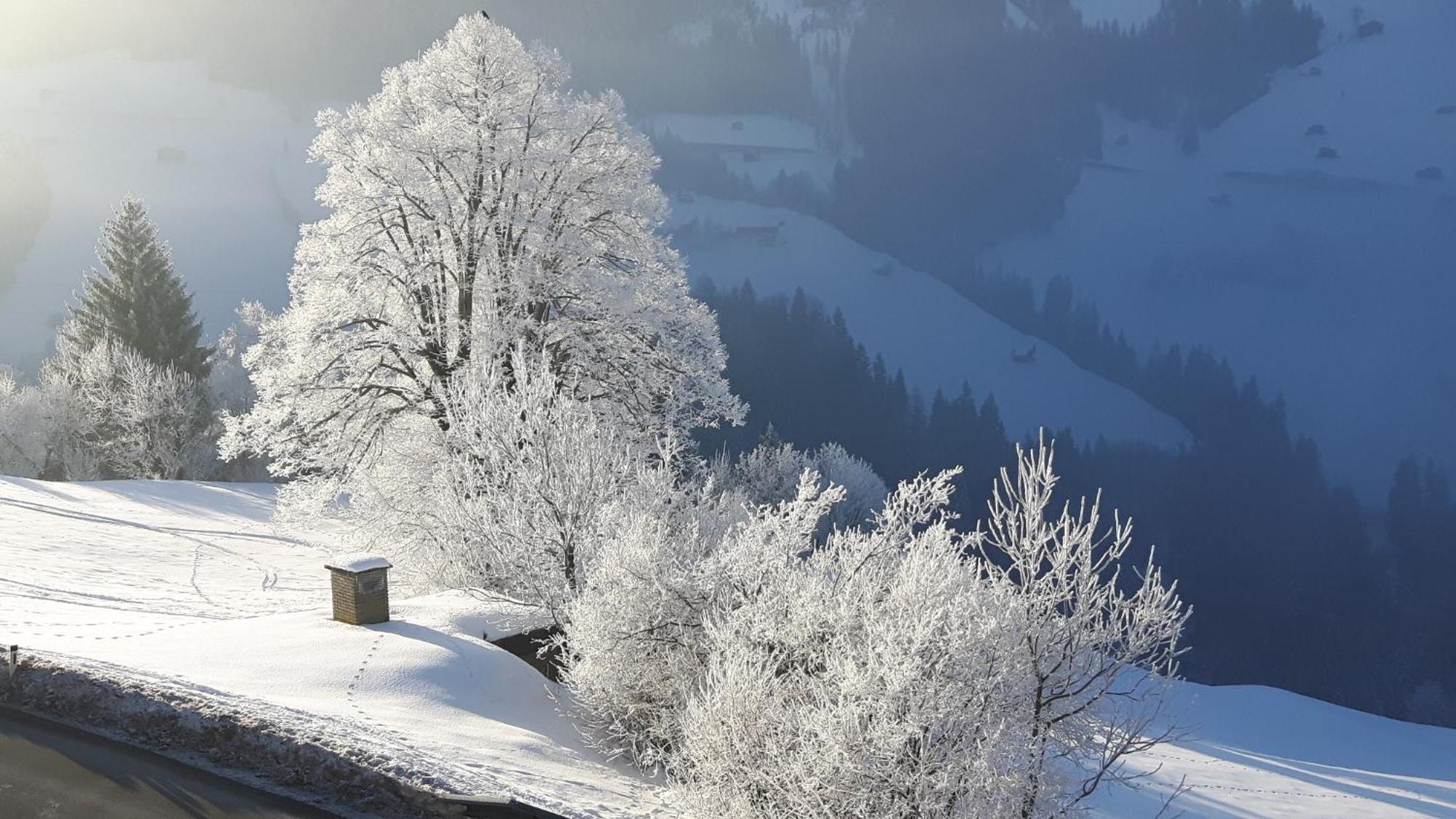 Haus Panorama Apartman Gerlosberg Kültér fotó
